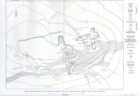 Geologic Map of the Blue Jay Claim
